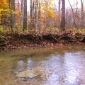 Sheltowee Trace, Clear Creek Furnace - 18